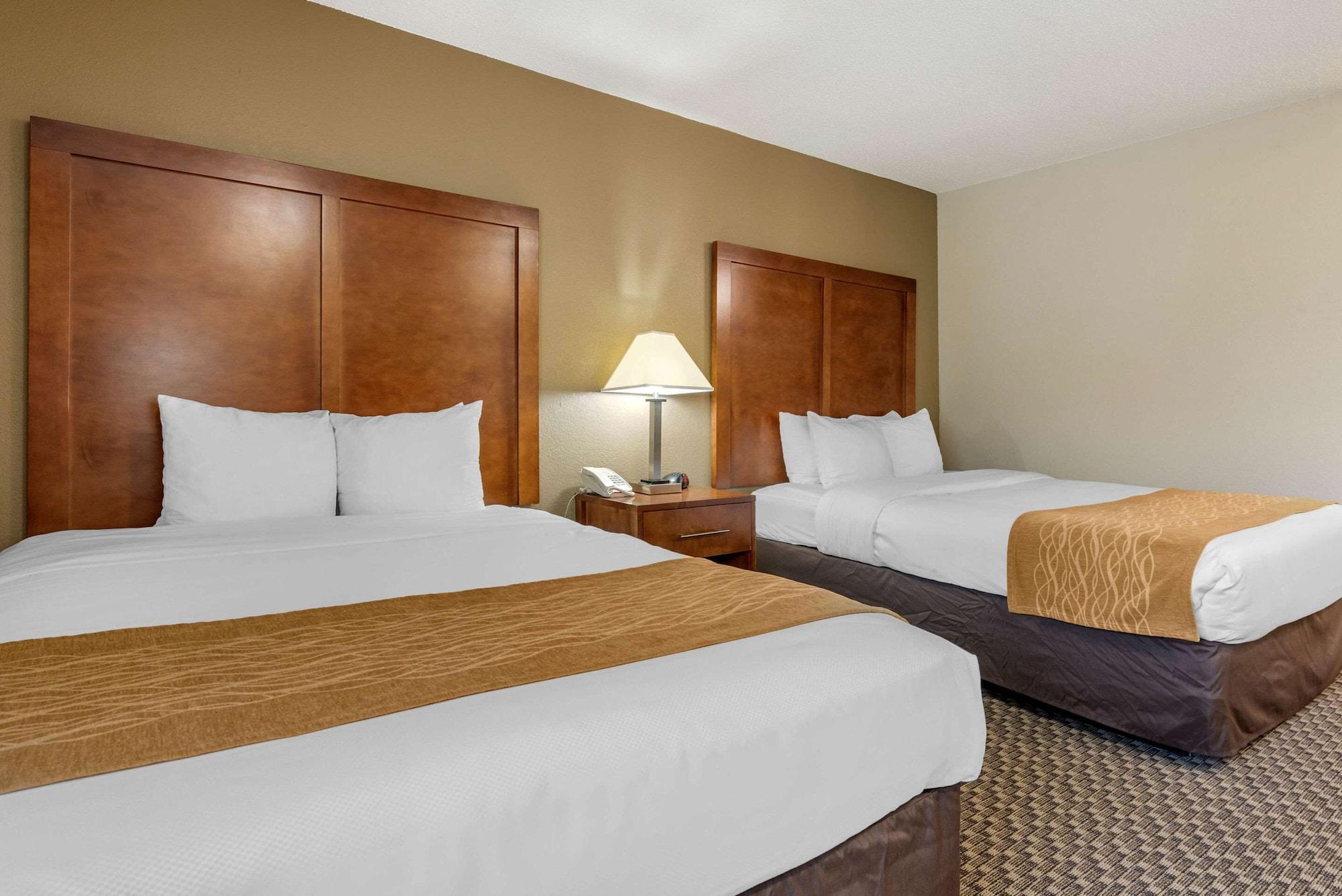 אינדיאנפוליס Comfort Inn South מראה חיצוני תמונה